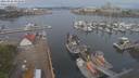 ./images/victoria/wharf/20210428/wharf20210428_095949.jpg