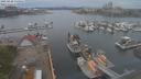./images/victoria/wharf/20210428/wharf20210428_135954.jpg