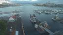 ./images/victoria/wharf/20210518/wharf20210518_055957.jpg