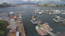 ./images/victoria/wharf/20210519/wharf20210519_115959.jpg