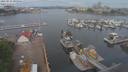 ./images/victoria/wharf/20210531/wharf20210531_095950.jpg