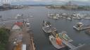./images/victoria/wharf/20210604/wharf20210604_115957.jpg