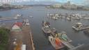 ./images/victoria/wharf/20210605/wharf20210605_095958.jpg