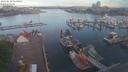 ./images/victoria/wharf/20210610/wharf20210610_055954.jpg