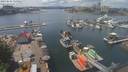 ./images/victoria/wharf/20210610/wharf20210610_135952.jpg