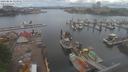 ./images/victoria/wharf/20210614/wharf20210614_115952.jpg