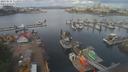 ./images/victoria/wharf/20210615/wharf20210615_115954.jpg
