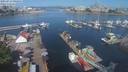 ./images/victoria/wharf/20210713/wharf20210713_095954.jpg