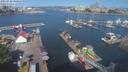 ./images/victoria/wharf/20210720/wharf20210720_095952.jpg