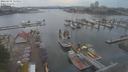 ./images/victoria/wharf/20210731/wharf20210731_115957.jpg