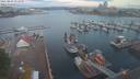./images/victoria/wharf/20210806/wharf20210806_055950.jpg