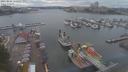 ./images/victoria/wharf/20210806/wharf20210806_155957.jpg