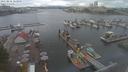 ./images/victoria/wharf/20210816/wharf20210816_115955.jpg