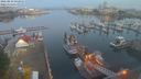./images/victoria/wharf/20210818/wharf20210818_055953.jpg