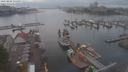 ./images/victoria/wharf/20210820/wharf20210820_155957.jpg