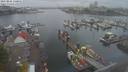 ./images/victoria/wharf/20210826/wharf20210826_130955.jpg