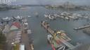 ./images/victoria/wharf/20210826/wharf20210826_155952.jpg