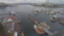 ./images/victoria/wharf/20210904/wharf20210904_135949.jpg