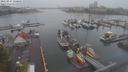 ./images/victoria/wharf/20210917/wharf20210917_115951.jpg