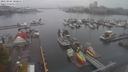 ./images/victoria/wharf/20210926/wharf20210926_175950.jpg