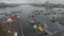 ./images/victoria/wharf/20211014/wharf20211014_175955.jpg