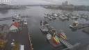 ./images/victoria/wharf/20211113/wharf20211113_115951.jpg