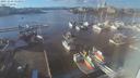 ./images/victoria/wharf/20211116/wharf20211116_135952.jpg