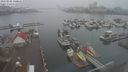 ./images/victoria/wharf/20220202/wharf20220202_140000.jpg