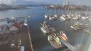 ./images/victoria/wharf/20220204/wharf20220204_140001.jpg