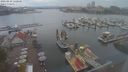 ./images/victoria/wharf/20220810/wharf20220810_120001.jpg