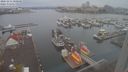 ./images/victoria/wharf/20221111/wharf20221111_080000.jpg