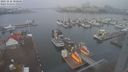 ./images/victoria/wharf/20221116/wharf20221116_100000.jpg