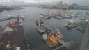 ./images/victoria/wharf/20221126/wharf20221126_100001.jpg