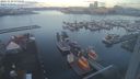 ./images/victoria/wharf/20221128/wharf20221128_080000.jpg