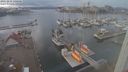 ./images/victoria/wharf/20221211/wharf20221211_140001.jpg