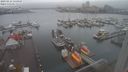 ./images/victoria/wharf/20230112/wharf20230112_140000.jpg