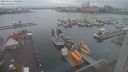 ./images/victoria/wharf/20230121/wharf20230121_120000.jpg