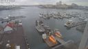 ./images/victoria/wharf/20230123/wharf20230123_100001.jpg