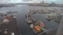 ./images/victoria/wharf/20230124/wharf20230124_100000.jpg