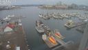 ./images/victoria/wharf/20230128/wharf20230128_100000.jpg