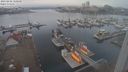 ./images/victoria/wharf/20230202/wharf20230202_120000.jpg