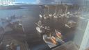 ./images/victoria/wharf/20230205/wharf20230205_160000.jpg