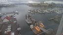 ./images/victoria/wharf/20230310/wharf20230310_120000.jpg