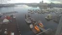 ./images/victoria/wharf/20230311/wharf20230311_080000.jpg