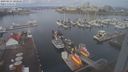 ./images/victoria/wharf/20230311/wharf20230311_100000.jpg