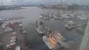 ./images/victoria/wharf/20230311/wharf20230311_140001.jpg