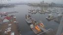 ./images/victoria/wharf/20230331/wharf20230331_120001.jpg
