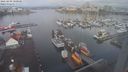 ./images/victoria/wharf/20230402/wharf20230402_100000.jpg