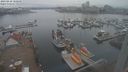 ./images/victoria/wharf/20230410/wharf20230410_180001.jpg