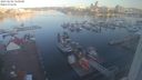 ./images/victoria/wharf/20230606/wharf20230606_060001.jpg
